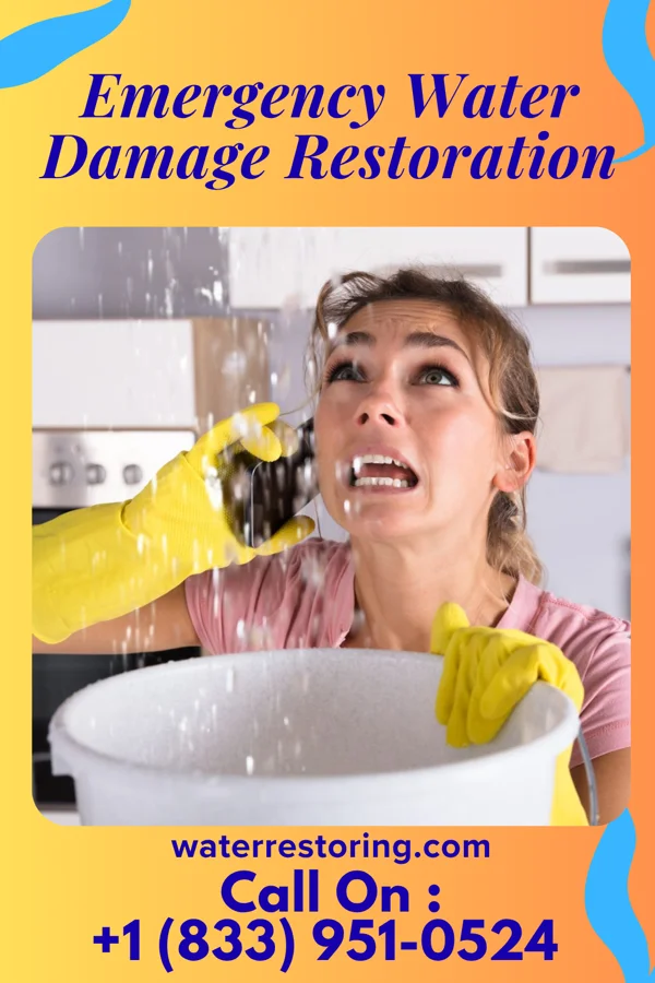 Emergency Water Damage Restoration in Red Bay, AL